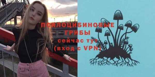 крисы Елизово