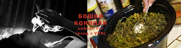 крисы Елизово