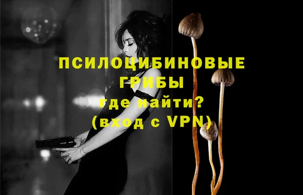 бутират Елабуга