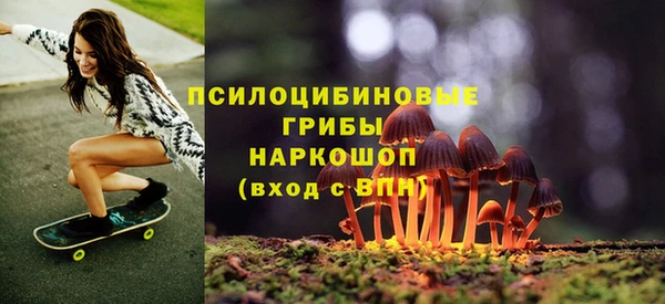 крисы Елизово