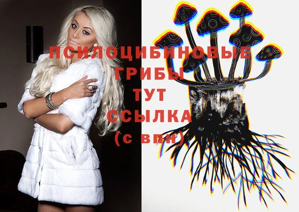 бутират Елабуга
