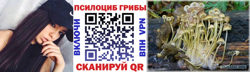 Псилоцибиновые грибы мухоморы  Купить  Кирсанов 